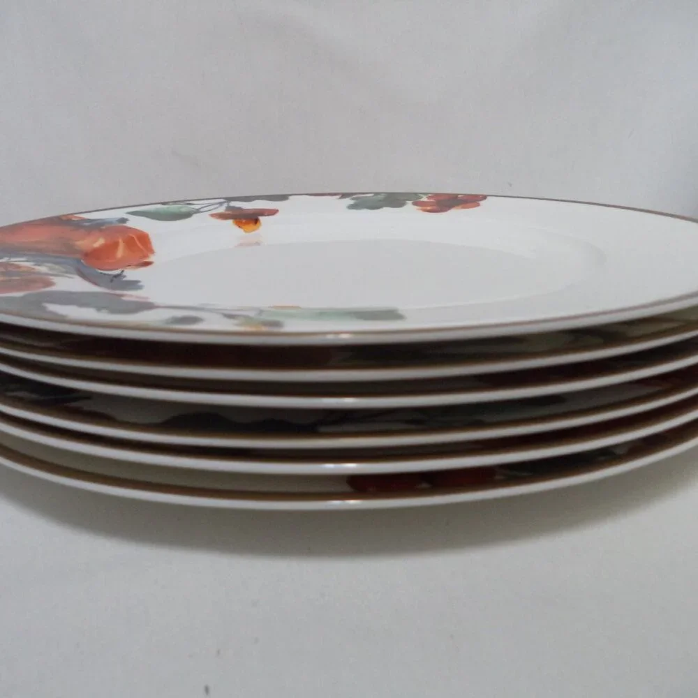 Ciroa Pumpkin Autumn Fall Thanksgiving Holiday Dinner Plate Set 6 Porcelain 11